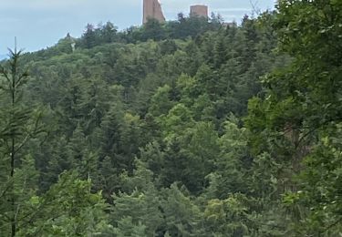 Tour Mountainbike Wettolsheim - À Velo 23 07 27 autour des 3 châteaux  - Photo