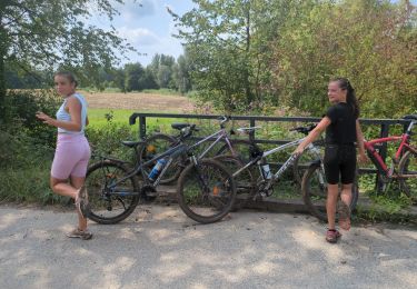 Trail Mountain bike Eschau - Eschau nordhouse - Photo