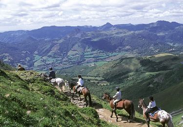 Percorso Cavallo Mandailles-Saint-Julien - TDV-Mandailles-Polminhac - Photo