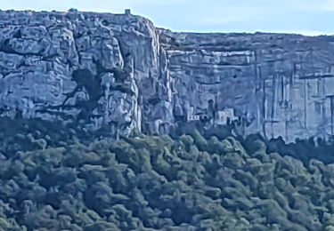 Trail Walking Plan-d'Aups-Sainte-Baume - Boucle St Baume Huveaune  - Photo