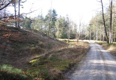 Percorso A piedi Apeldoorn - paleis 't Loo 