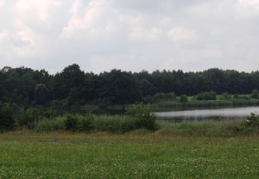 Tocht Te voet Birstein - Waschweiher Weg - Photo