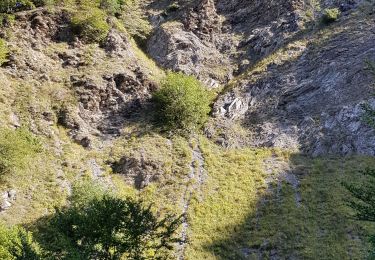 Trail Walking Cauterets - plateau du lisey 2019 - Photo