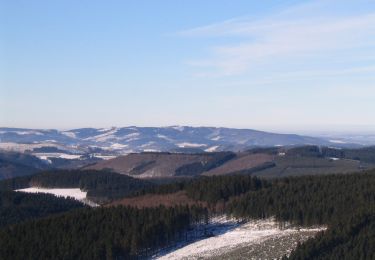 Tour Zu Fuß Sundern - Rundweg Wildewiese - Photo