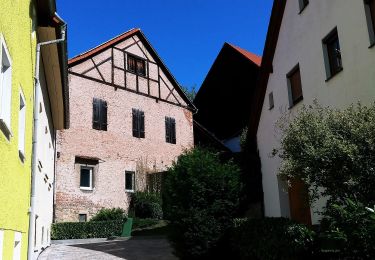 Tocht Te voet Wiesenttal - Muggendorf-Oswaldhöhe-Hohes Kreuz-Engelhardsberg - Photo