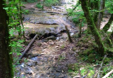 Tour Wandern Cerdon - Cerdon Cascade de la Fouge - Photo