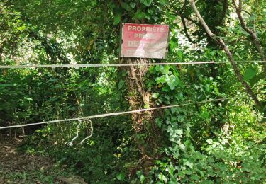 Trail Walking Gardanne - Gardanne. j.f.    marie - Photo
