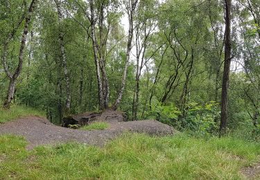 Trail Walking Liège - Rocourt - Milmort - terril Ste-Barbe - Rocourt - Photo