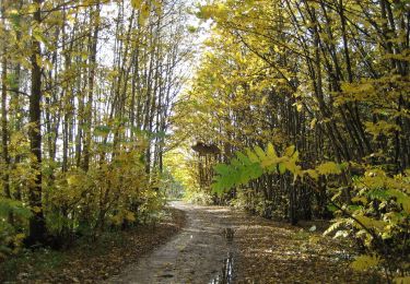 Tour Fahrrad Le Crotoy - LP80_LeCotoy-SrQuentin(A-R) - Photo