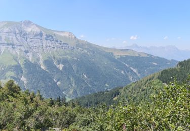 Excursión Senderismo Les Contamines-Montjoie - Le Lay - Combe d'Armancette - Photo