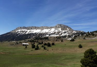 Trail Walking Chichilianne - tete de chevaliere - Photo