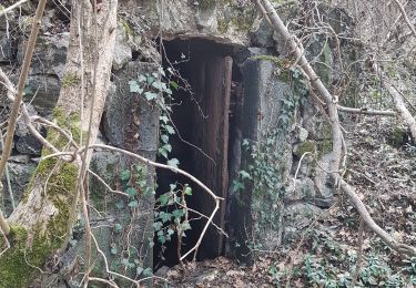 Excursión Senderismo Villeneuve - Tracé actuel: 02 MARS 2019 14:39 - Photo