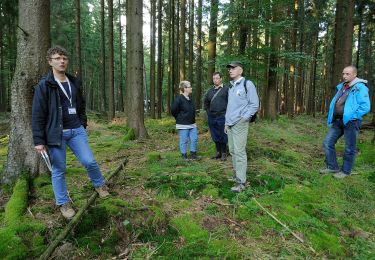 Randonnée A pied Kirchzell - Rundwanderweg Kirchzell Wildschweinfütterung 9: Hainbuche-Weg - Photo