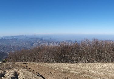 Percorso A piedi Cantalupo Ligure - Cantalupo Ligure – Monte Giarolo - Photo