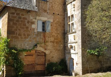 Randonnée Marche Turenne - Turenne Meyssac - Photo