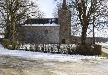 Tocht Stappen Havelange - Ossogne  - Photo