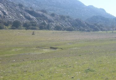 Randonnée A pied Villaluenga del Rosario - LLANO DEL REPUBLICANO - Photo