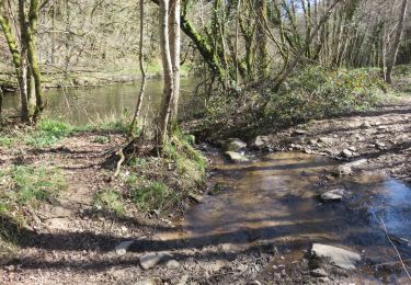 Tour Wandern Orgnac-sur-Vézère - Orgnac - Pommier-Gorges Vézère - Photo