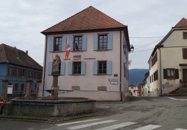 Percorso Marcia Osenbach - Circuit découverte Osenbah - Photo