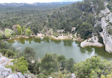 Tocht Stappen Saint-Rémy-de-Provence - Le mont Gaussien saint Rémy de Provence - Photo