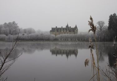 Trail On foot Carquefou - Les Bords de l'Erdre - Photo