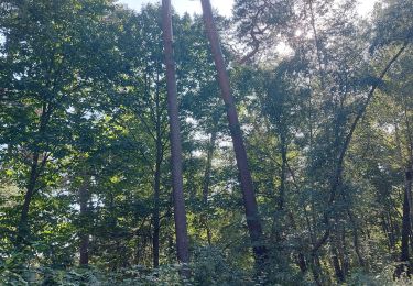 Tour Wandern Oissel - 20230822 Oissel - Photo