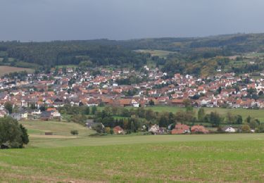 Excursión A pie Wartenberg - Wartenberger Rundweg 2 - Photo