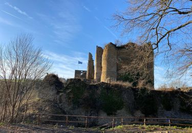 Randonnée Marche Theux - Theux Natura 2000 château Franchimont - Photo