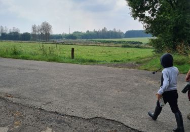 Randonnée Marche Paliseul - Boucle par la grotte de Nollevaux  - Photo