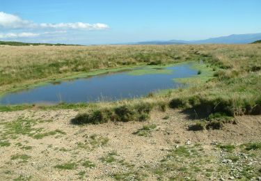 Tour Zu Fuß  - Pietroasa-Casc. Săritoarea Bohodei-Șaua Bohodei - Photo