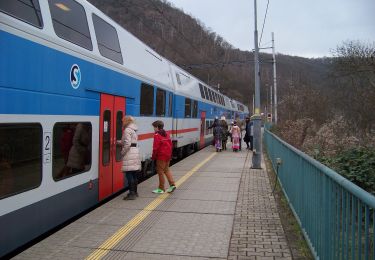 Tour Zu Fuß  - [Ž] Přední Kopanina - Žalov - Photo