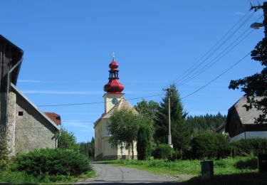 Tocht Te voet Kašperské Hory - odbočka k památníku letecké nehody - Photo