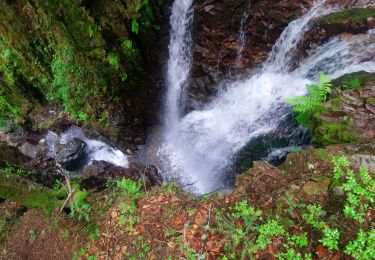 Randonnée Marche Plancher-les-Mines - Belvédère Saint Antoine  - Photo