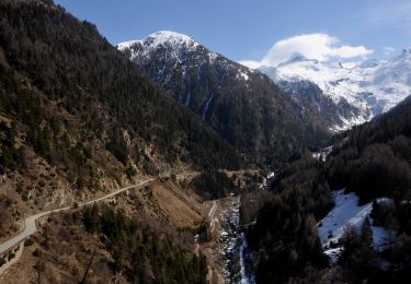 Percorso A piedi Termen - Rosswald-Saflischpass - Photo