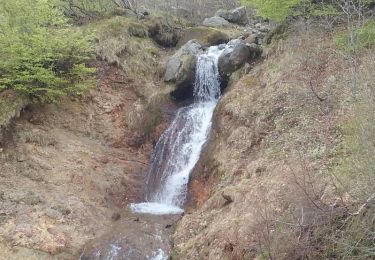 Tour Wandern Chambon-sur-Lac - Tracé_25-MAI-19 164711 - Photo