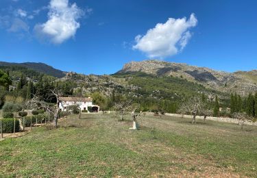 Randonnée Marche Escorca - GR221 # Lluc - Pollença - Photo