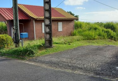 Tour Wandern Macouba - Chemin Hbt Bijou - Photo