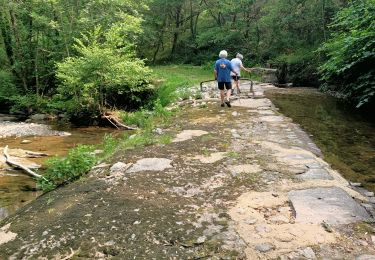 Trail Walking Viviez - Viviez - Photo