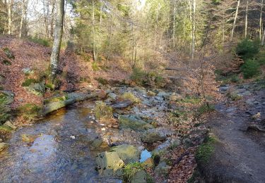 Excursión Senderismo Eupen - Ternell  - Réserve naturelle des Hautes Fagnes - Photo