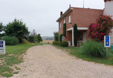 Trail Walking Redecilla del Camino - 2023 11 villafrancia - Photo