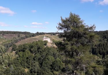 Tocht Elektrische fiets Le Puy-en-Velay - stevenson2 - Photo