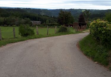 Tour Wandern Malmedy - Bevercé _ Marche privée _ Ferme Libert - Photo