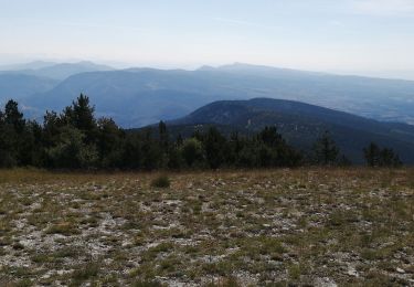 Trail Walking Bédoin - la frache - Photo