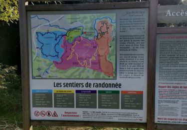 Trail Walking Les Arcs-sur-Argens - apie de Raynaud forêt des arcs - Photo