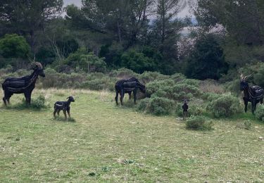 Trail Walking Tarascon - Le planet  - Photo