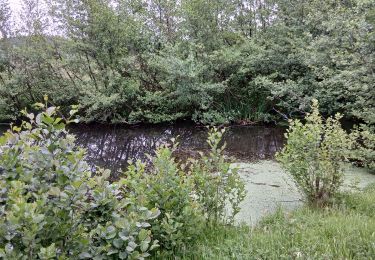 Trail Walking Chaponnay - 69-chaponnay_sauzaye_6km - Photo