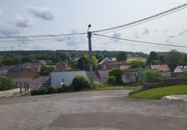 Trail Walking Fosses-la-Ville - Vitrival 030625 - Photo