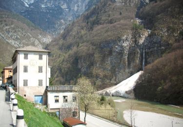 Excursión A pie Ospitale di Cadore - IT-495 - Photo