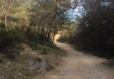 Tour Wandern Le Rouret - Le Rouret 19/02/2019 - Photo