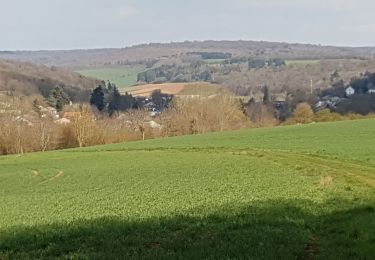 Tocht Stappen Marbache - MARBACHE - LA TARTE - Photo